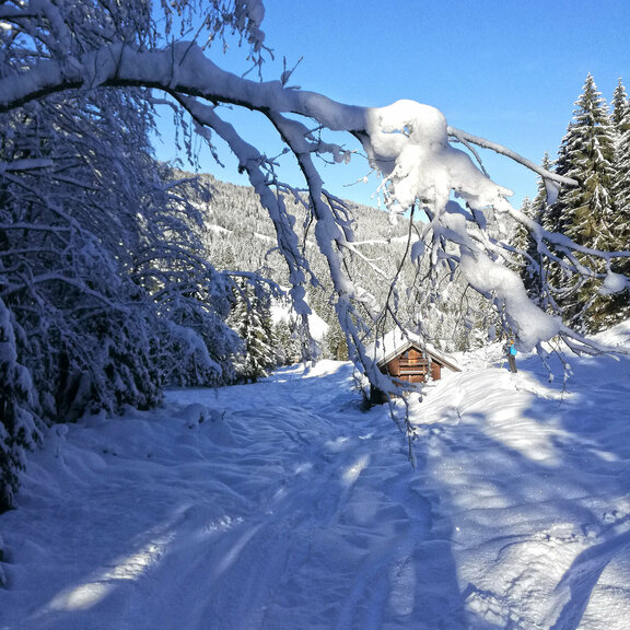 Winter in valley Alpbachtal