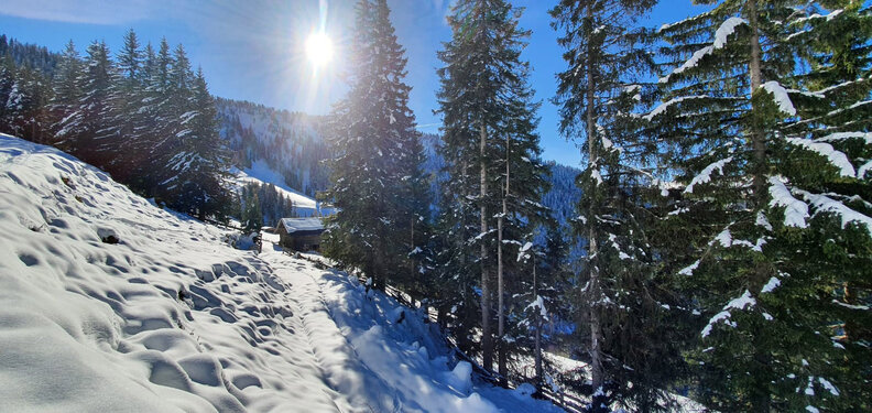 Winter im Almgebiet Winter im Almgebiet