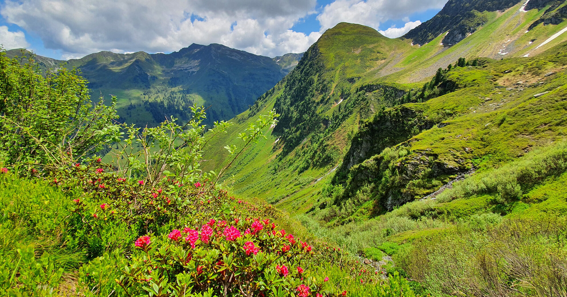 Aktiv erleben im Alpbachtal Apartments Tramberger