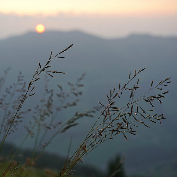 Summer evening in Alpbachtal
