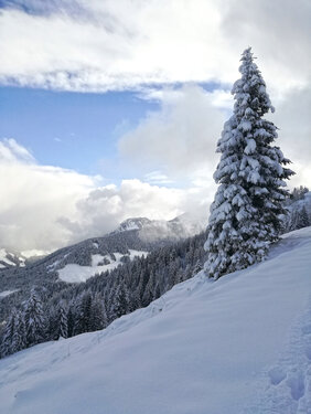 Verschneite Landschaft Verschneite Landschaft