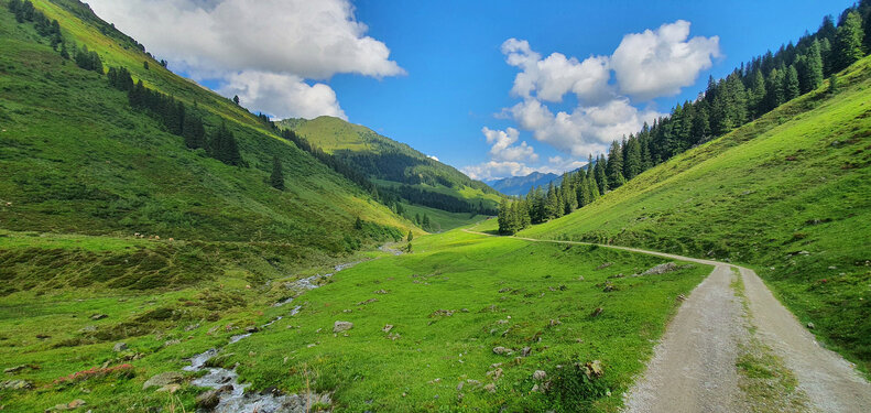 [Translate to Englisch:] Inneralpbach